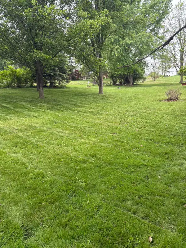 Same lawn cleanly mowed with sharp stripes — Fordeley Mowing South Fayette PA