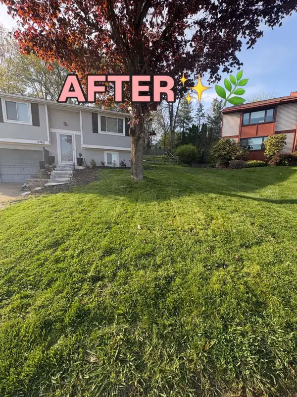 Suburban front yard freshly mowed — Fordeley Mowing Upper Saint Clair PA