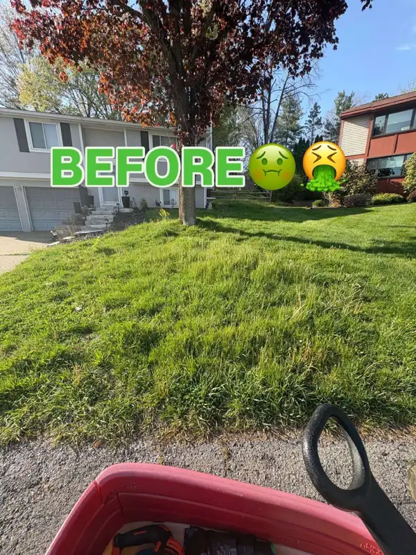 Suburban front yard with overgrown grass before mowing — Upper Saint Clair PA