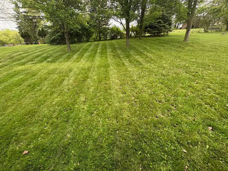 Residential lawn freshly mowed with clean stripes — Fordeley Mowing, South Fayette PA